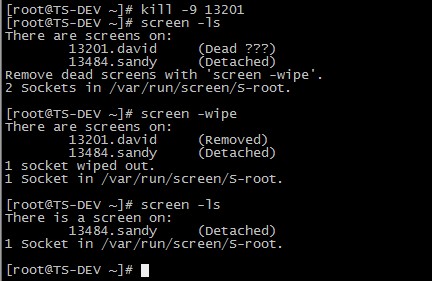 linux screen 命令详解-天真的小窝